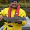 Juvenile sturgeon
